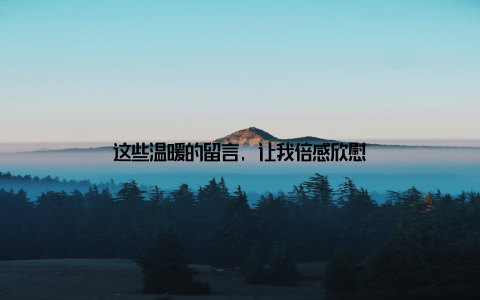 这些温暖的留言, 让我倍感欣慰