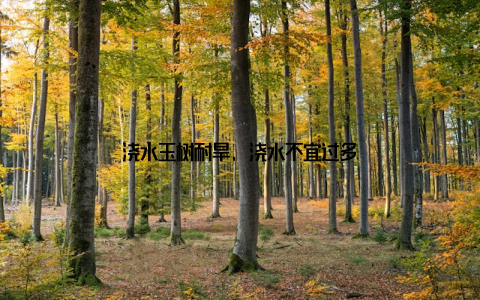 浇水玉树耐旱, 浇水不宜过多