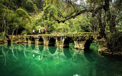 有一天, 我带着万年松去了公园