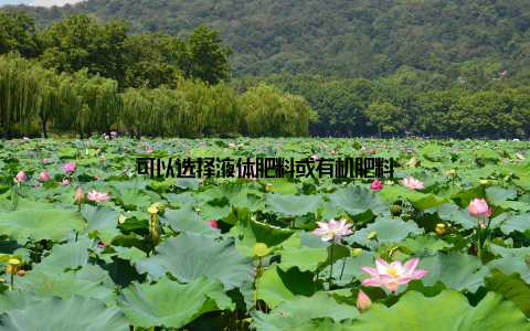 可以选择液体肥料或有机肥料