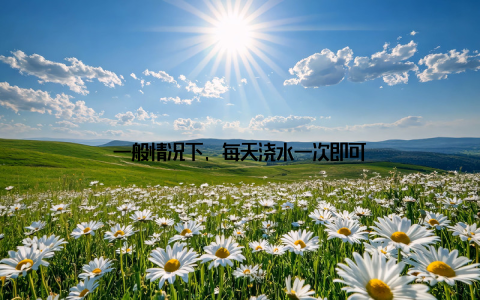 一般情况下, 每天浇水一次即可