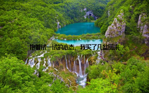 抱着试一试的心态, 我买了几盆回来