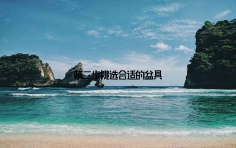 第二步挑选合适的盆具