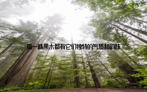 每一株果木都有它们独特的气质和韵味