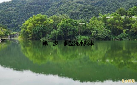 第二步, 调整浇水频率