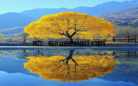 再次, 临沂盆栽的种植技术独特