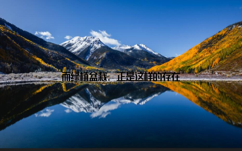 而绿植盆栽, 正是这样的存在