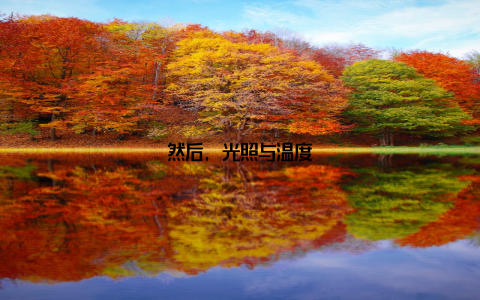 然后, 光照与温度