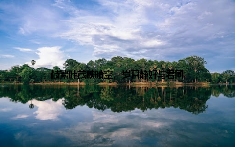 枝繁叶茂映晴空, 岁月静好与君同