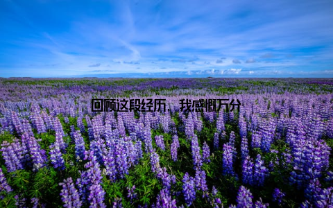 回顾这段经历, 我感慨万分