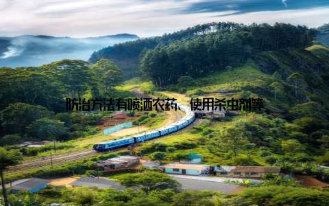 防治方法有喷洒农药、使用杀虫剂等