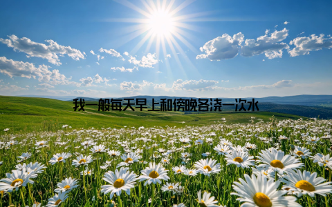 我一般每天早上和傍晚各浇一次水