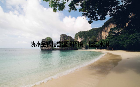浇水金钱榕喜湿润环境, 但忌水涝