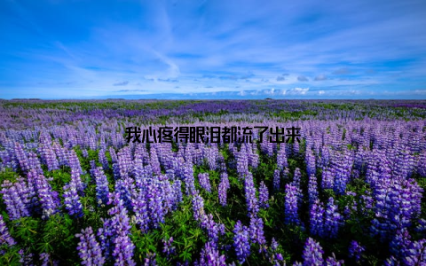 我心疼得眼泪都流了出来