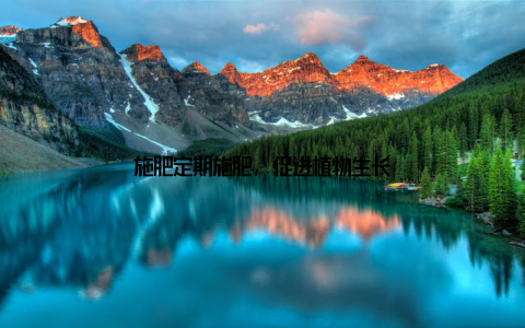 施肥定期施肥, 促进植物生长