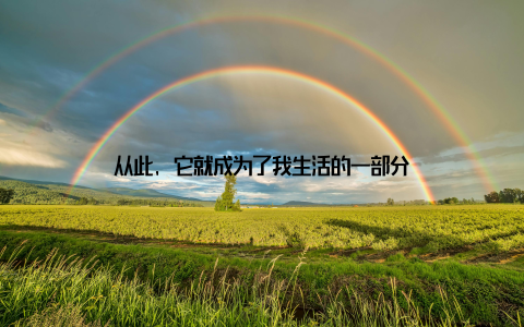 从此, 它就成为了我生活的一部分