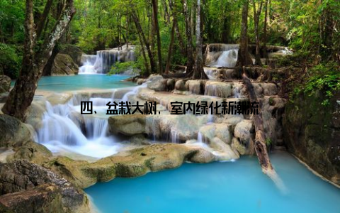 四、盆栽大树, 室内绿化新潮流