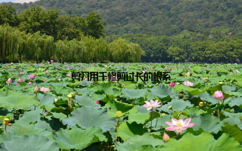 剪刀用于修剪过长的根系