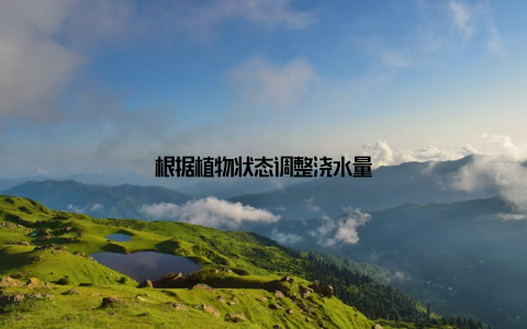 根据植物状态调整浇水量