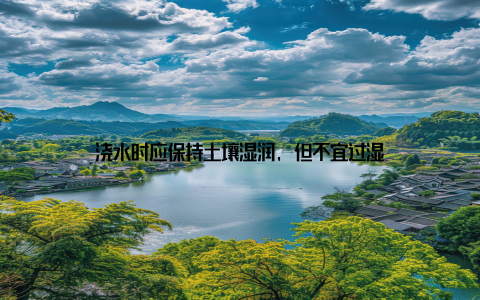 浇水时应保持土壤湿润, 但不宜过湿