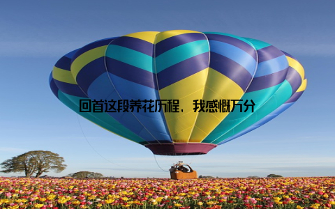 回首这段养花历程, 我感慨万分