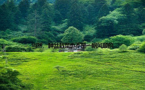 当然, 种盆栽菜也不是一帆风顺的