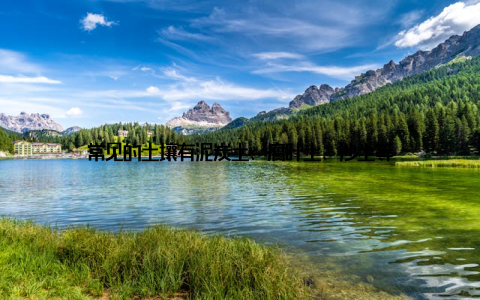 常见的土壤有泥炭土、腐叶土、沙土等