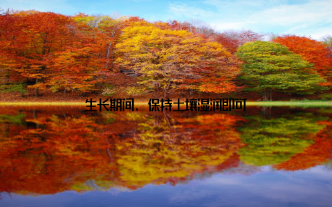 生长期间, 保持土壤湿润即可