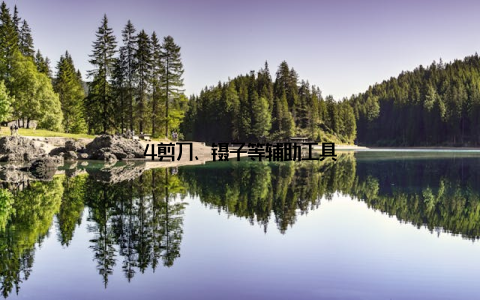 4剪刀、镊子等辅助工具