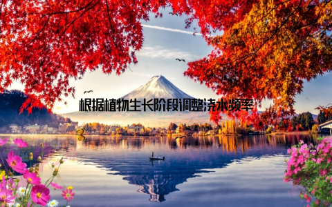 根据植物生长阶段调整浇水频率