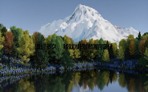 没过多久, 我就发现植物的变化