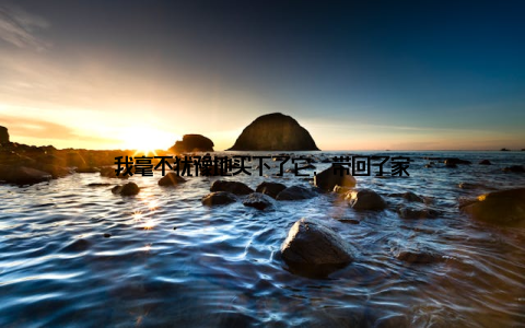 我毫不犹豫地买下了它, 带回了家