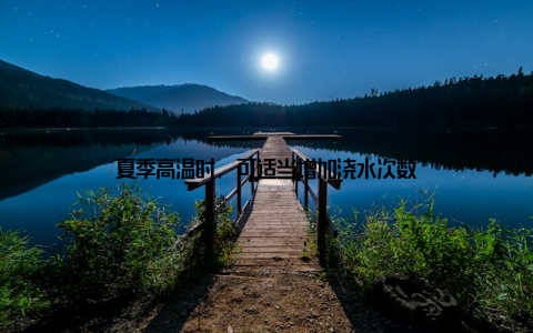 夏季高温时, 可适当增加浇水次数