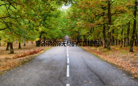 它会带给你无尽的惊喜和感动