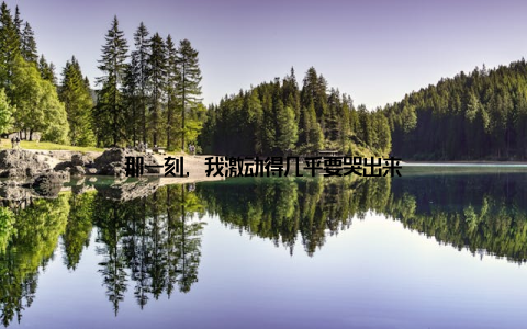 那一刻, 我激动得几乎要哭出来