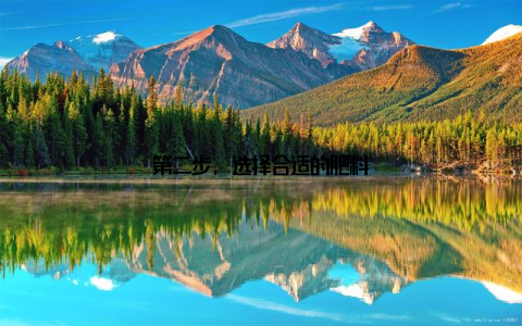 第二步, 选择合适的肥料