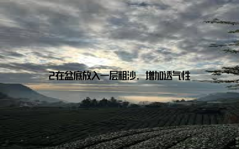 2在盆底放入一层粗沙, 增加透气性