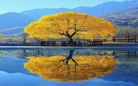 一般来说, 每天浇水一次即可