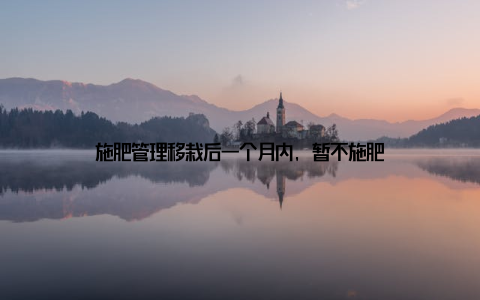 施肥管理移栽后一个月内, 暂不施肥