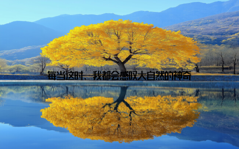 每当这时, 我都会感叹大自然的神奇