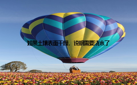 如果土壤表面干燥, 说明需要浇水了