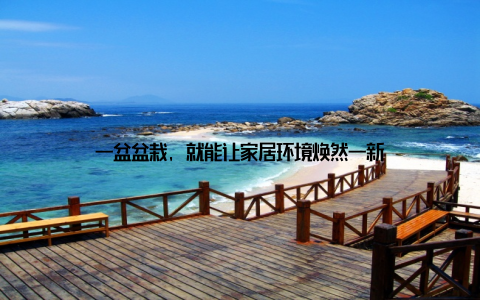 一盆盆栽, 就能让家居环境焕然一新