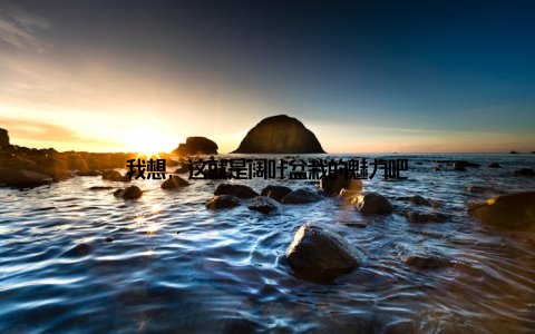 我想, 这就是阔叶盆栽的魅力吧