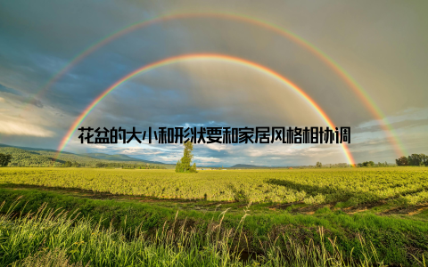 花盆的大小和形状要和家居风格相协调