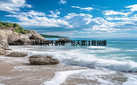 3茉莉花不耐寒, 冬天要注意保暖