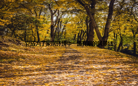 它成为了家居环境中一道亮丽的风景线