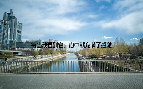 每当我看到它, 心中就充满了感激