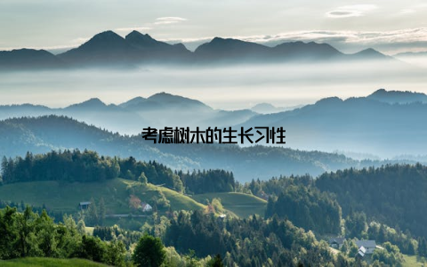 考虑树木的生长习性