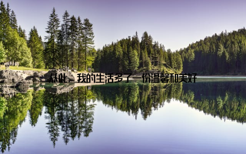 从此, 我的生活多了一份温馨和美好