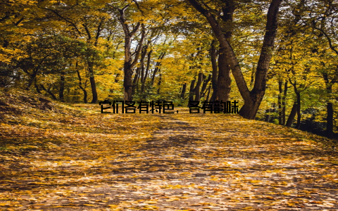 它们各有特色, 各有韵味